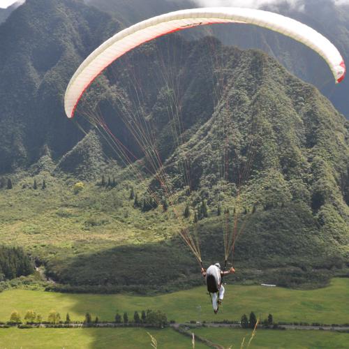 Piton Rond