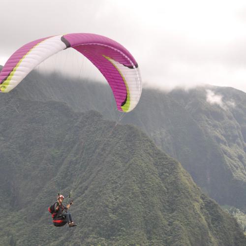 Piton Rond - Virginie