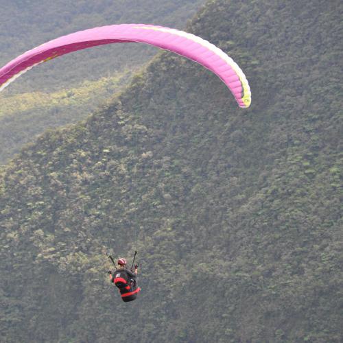 Piton Rond - Virginie