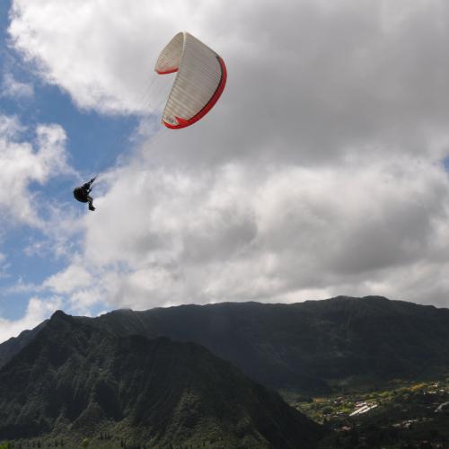 Piton Rond